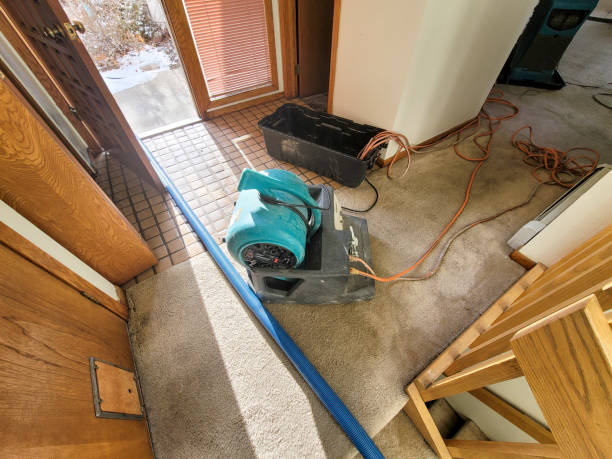 Best Water damage cleanup near me  in Rockcreek, OR